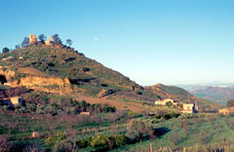 Rural Sicily Rural Sicily